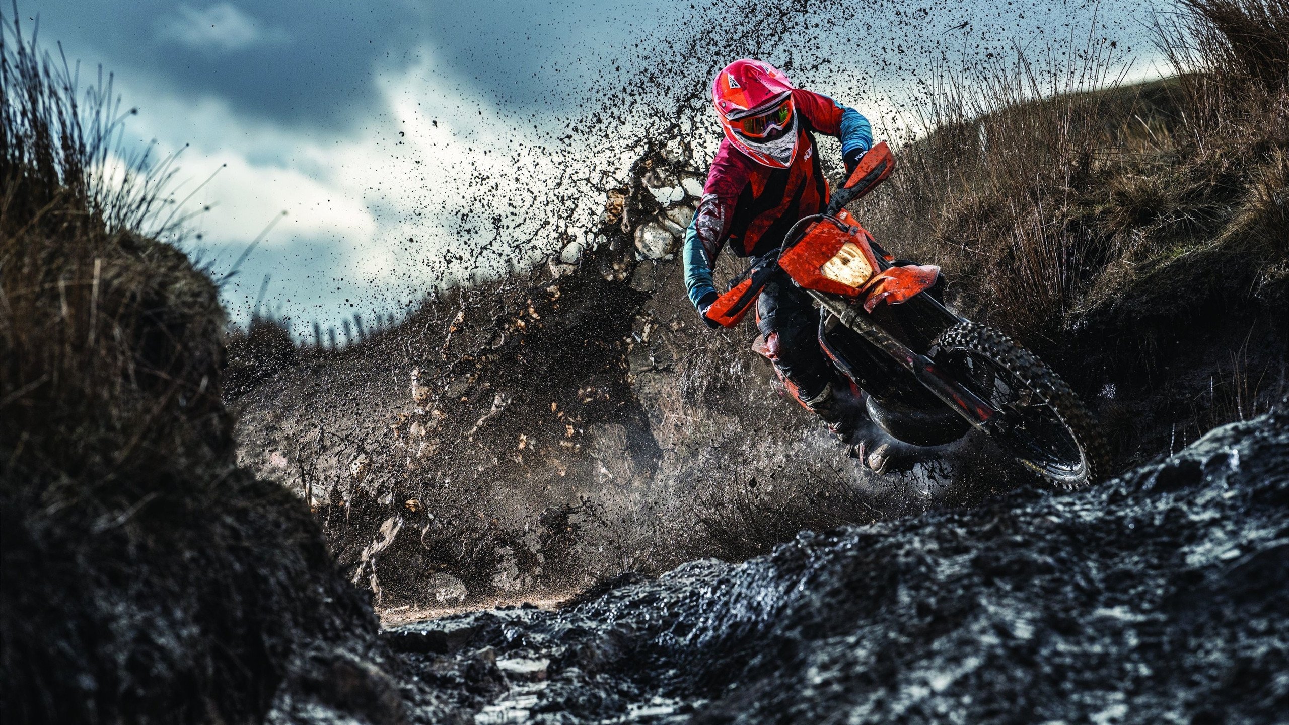 中国游泳队亚运会再创佳绩，新星闪耀泳池夺金